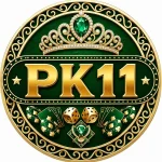 PK11 Game